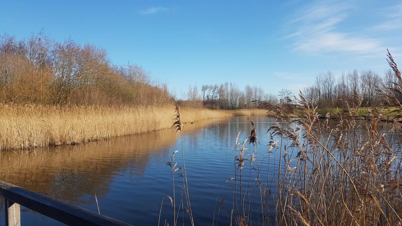 Nieuw Molenwijk 4-5 Persoons Villa Oostkapelle Dış mekan fotoğraf